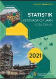 Employment Statistics of Dumai Municipality 2021